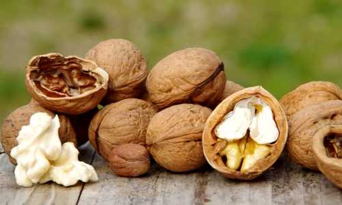 калорийность халвы и полезные свойства подсолнечной, кунжутной и арахисовой